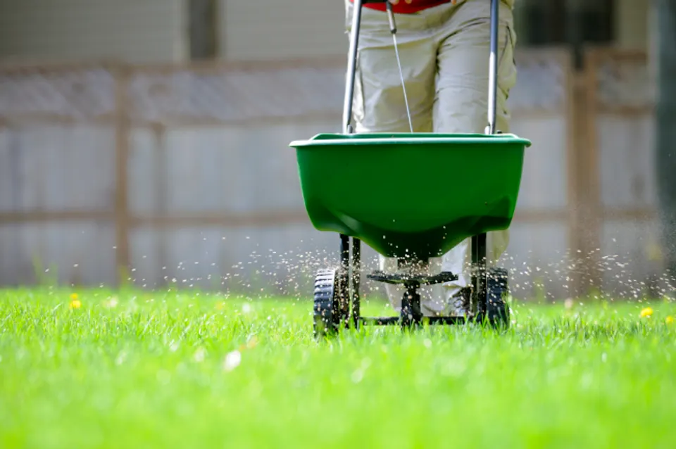 Fertilization treatment for a healthy Columbia SC yard