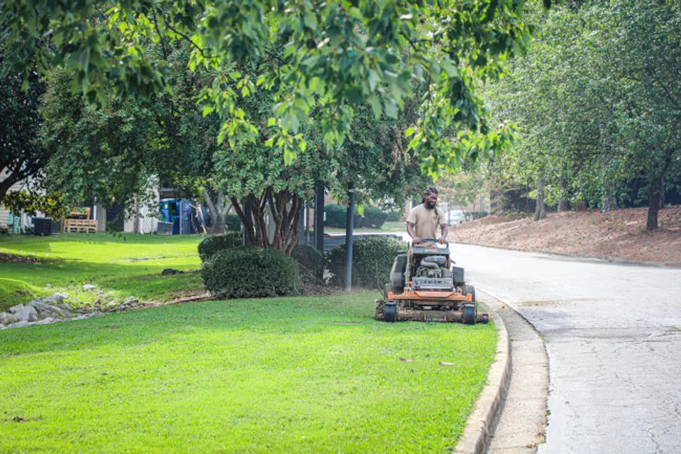 Professional lawn care supporting healthier turf