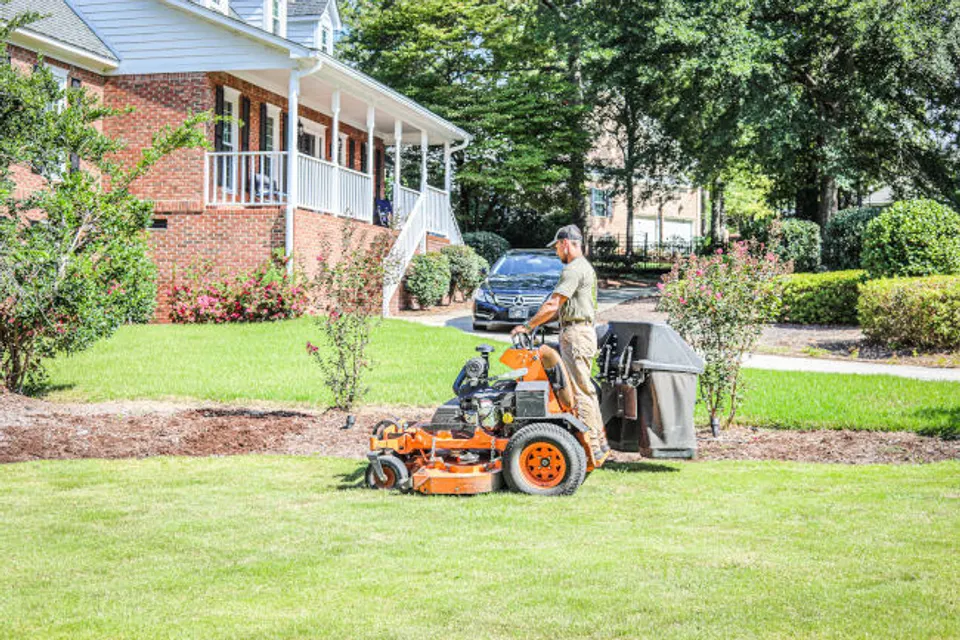 Residential lawn service showing a healthy yard