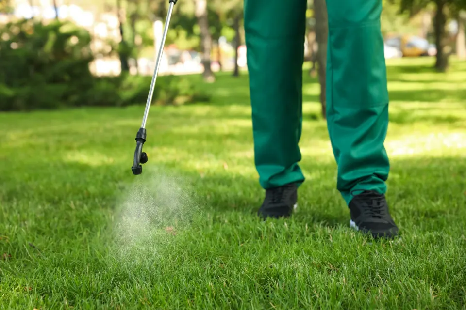 Outdoor flea and tick treatment service