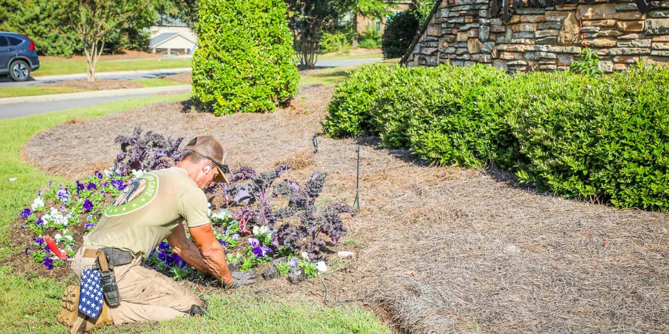 Fresh planted landscape bed prepared for mulch by Sparta Lawn Care