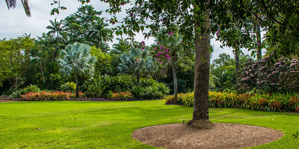 Finished green lawn after professional service
