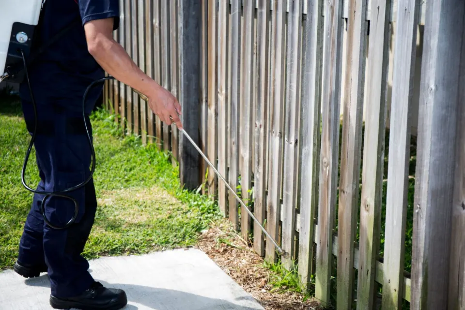 Perimeter pest control treatment around a home