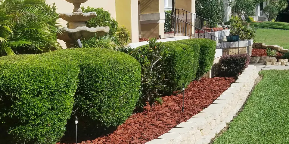 Refreshed foundation beds after landscape cleanup