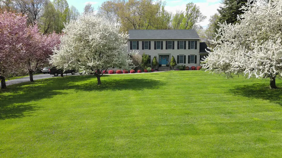 Spring yard cleanup service in Columbia SC